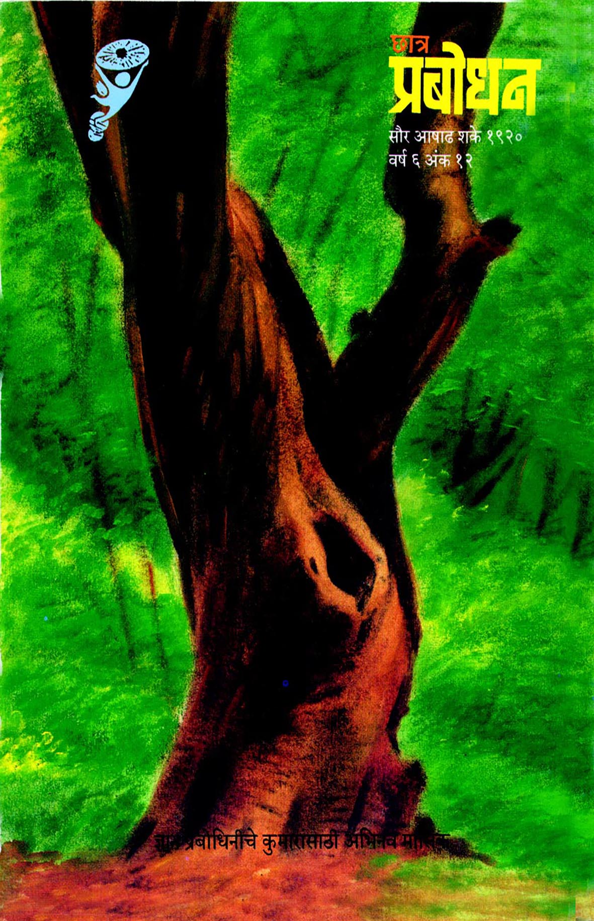 वर्ष ६ अंक १२